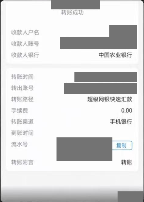客户在聊天中提供的人民币转账回执,姓名、账号、流水号和具体转账时间已遮挡。